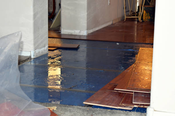 Professional Flood Cleanup technician working in Newton Highlands, MA